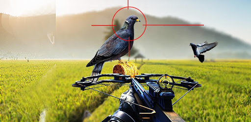 Pigeon Hunting 2018: Crossbow Birds Wings Shooting pc screenshot Pigeon Hunting 2018: Crossbow Birds Wings Shooting pc screenshot