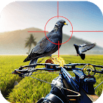 Pigeon Hunting 2018: Crossbow Birds Wings Shooting icon