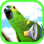 call Bird for pc icon