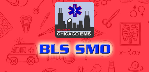 Region XI BLS SMO pc screenshot Region XI BLS SMO pc screenshot