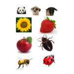 Scientific names icon