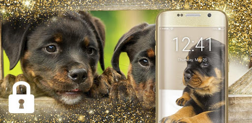 Smart Rottweiler Smart Rottweiler Dog Little Puppies Screen Lock for PC - How to Install ...