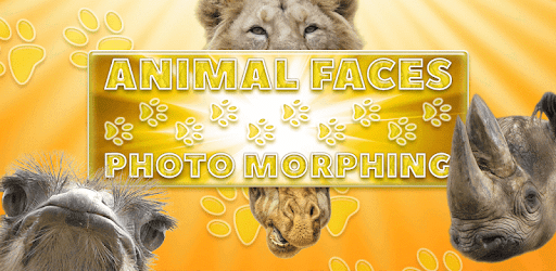 Animal Faces - Photo Morphing pc screenshot