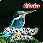 Indonesian Good Morning & Good Night Wishes Love icon