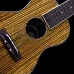 Easy Ukulele - Ukulele Tuner icon