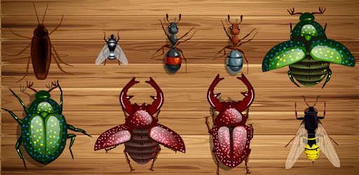 Ant Smasher - Ants Smasher pc screenshot Ant Smasher - Ants Smasher pc screenshot