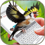 Birds Flying on Screen: Funny Gifs App icon