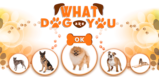 What Dog are You Test App pc screenshot