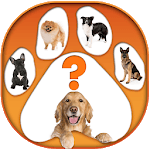 What Dog are You Test App icon