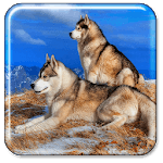 Wolves Live Wallpaper for pc icon Wolves Live Wallpaper for pc icon
