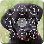 Cute Black Labrador Puppies Screen Lock icon