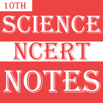Class 10 Science Notes for pc icon