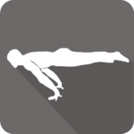 Thenics icon