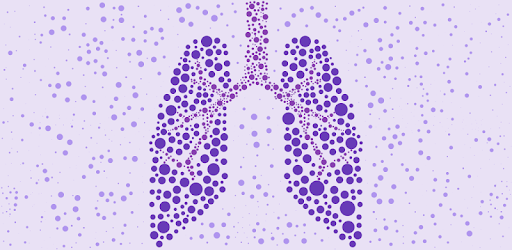 Prana Breath: Calm & Meditate pc screenshot Prana Breath: Calm & Meditate pc screenshot