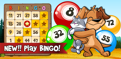 Bingo Abradoodle : Free Bingo Games pc screenshot Bingo Abradoodle : Free Bingo Games pc screenshot