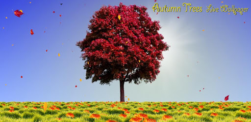 Autumn Trees Free pc screenshot Autumn Trees Free pc screenshot
