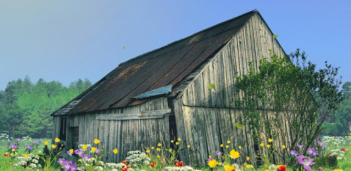 Midsummer Free LWP pc screenshot Midsummer Free LWP pc screenshot