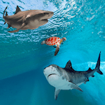 Save Sea Turtle icon