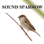 Sparrow icon