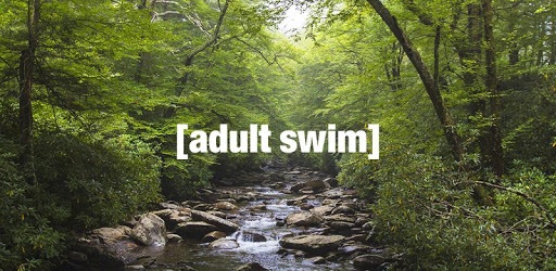 [adult swim] pc screenshot