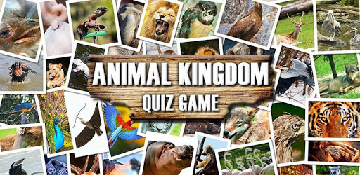 Animal Kingdom - Quiz Game pc screenshot Animal Kingdom - Quiz Game pc screenshot
