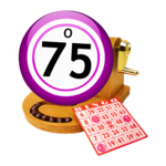 Bingo 75 icon