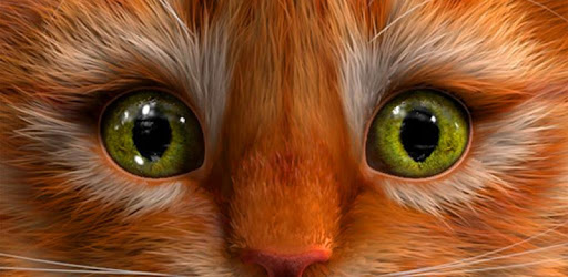 My Kitten (Virtual Pet) pc screenshot
