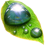 Droplets for pc icon