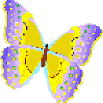 Pixel Art Butterfly Color By Number for pc icon