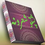 Pashto best Poetry application icon