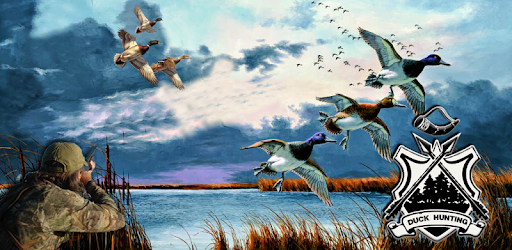 Duck Hunting 3D: Seasons 2017 pc screenshot Duck Hunting 3D: Seasons 2017 pc screenshot