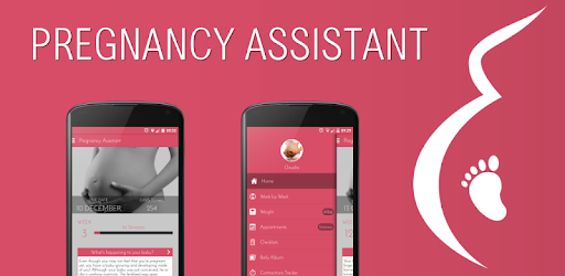 Pregnancy Assistant App pc screenshot
