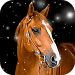 Horse Wallpaper HD : backgrounds & themes icon