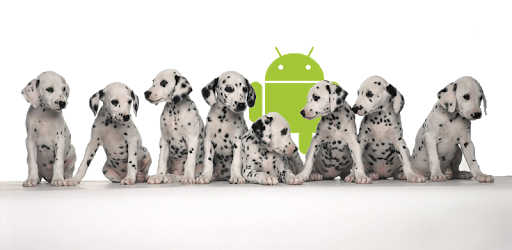 Age Calculator canine free pc screenshot