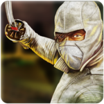 Super Hero-The Ninja Warrior. icon