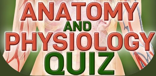 Human Body Anatomy Quiz pc screenshot Human Body Anatomy Quiz pc screenshot