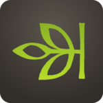 Ancestry icon