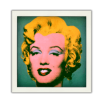 Camera illusion icon