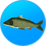 True Fishing. Fishing simulator icon