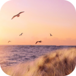 Peaceful Wallpapers icon