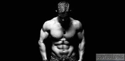 Bodybuilding Workout pc screenshot Bodybuilding Workout pc screenshot