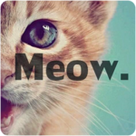 Cats sounds icon