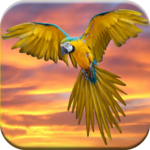 Bird Sounds Free icon