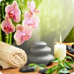 Massage Therapy Techniques icon