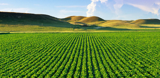 Agriculture pc screenshot