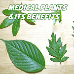 Top Medicinal Plants And Its Uses for pc icon