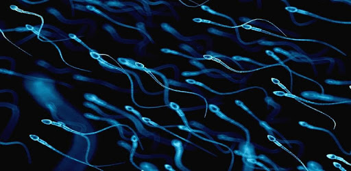 Increase Sperm Volume pc screenshot