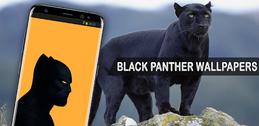 Black Panther Wallpapers pc screenshot Black Panther Wallpapers pc screenshot