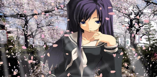 3D Animation pc screenshot