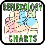 Reflexology Charts icon